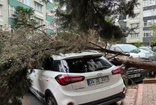 İstanbul'da fırtına! Ağaçlar devrildi, çatılar uçtu görüntülere bakın!