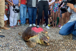 Caretta Caretta ‘Lara Barış’ 1,5 yılda 4 bin kilometre yol kat etti!