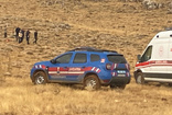 Kahramanmaraş'ta hayvanları otlatan çobanın feci ölümü