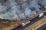 Adana'da yol kenarındaki ağaçlık alanda yangın