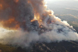 Ankara'daki orman yangını! Kontrol altına alınamadı