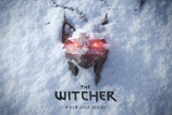 The Witcher: Blood Origin oyuncu kadrosu ve karakter rehberi