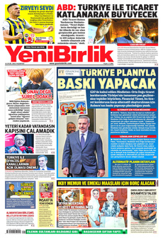 Yenibirlik