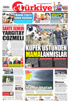 Türkiye Gazetesi