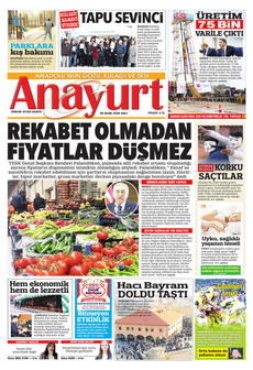 anayurt Gazetesi