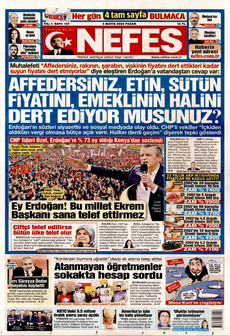 NEFES