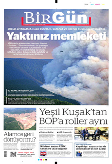 Bi̇rgün