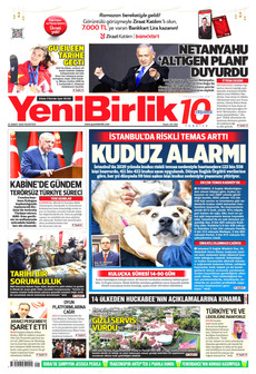 Yeni̇bi̇rli̇k