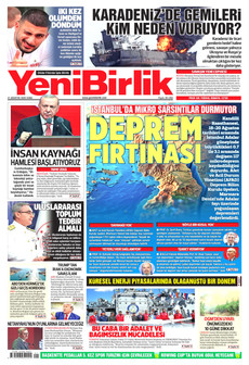 Yeni̇bi̇rli̇k
