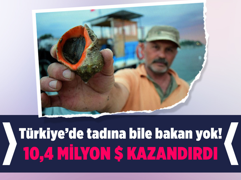 Türkiye deniz salyangozu ihracatından 10,4 milyon dolar kazandı